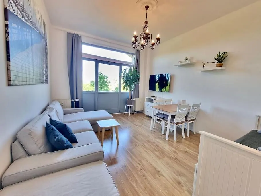 2 Room Apartment Near Station Neustadt In Dresden Neustadt